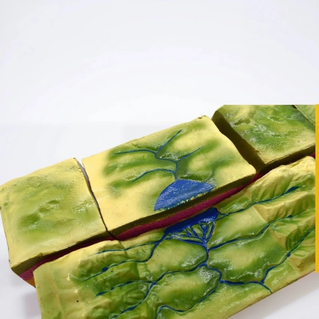 Модель «Движение океанических плит»